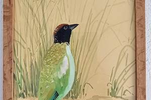 OISEAU2