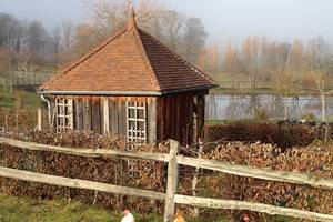 les poules du Domaine...
