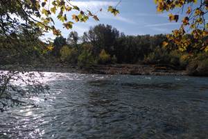 IMG_20241023_105600