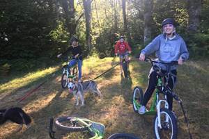 Cani Trottinette Husk'in Creuse
