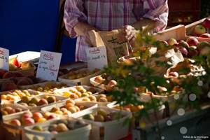 01790-OTVD-CC-BY-NCMalika-Turin---Vallee-de-la-Dordogne.jpg-1200px