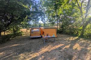 PXL_20250721_171855237.MP