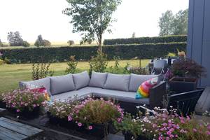 la terrasse