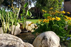 jardin parc