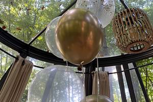 IMG_8791