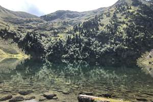 D5CF8F80-77D3-45D4-9A73-056C47B851B8