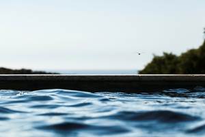 libellule sur la piscine