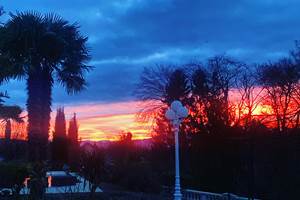 B9F0125E-3716-4A1E-AC1E-5E471324F95B