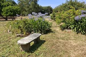 Grand parc en été canicule