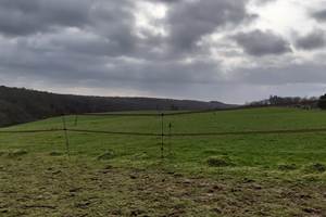 IMG-20210321-WA0007