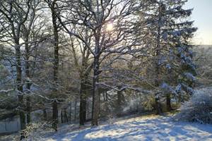 IMG-20210124-WA0041