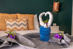 FUJIFILM X-T5_02_décembre_2025-54 50pp