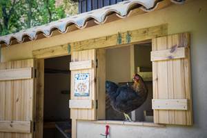 0011_cocody-015 copie