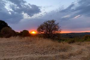 Coucher de soleil sur le causse Lot Tourisme - C. Seguy 200815-204522