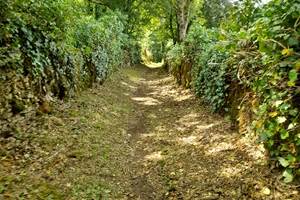 Sentier de randonnée