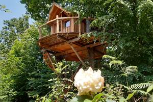 la cabane et la rose