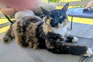 eddd2af4-d3c5-4c6e-923d-d0b29428f020