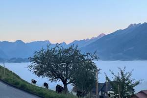 vue-panoramique-gruyere-montagnes-vanils-intyamon-studio-vacances-couple-suisse