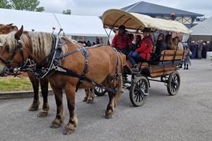 Promenade en Calèche avec Pénélop et Gess calèche Western
