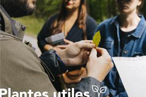 plantes utiles et comestibles_1