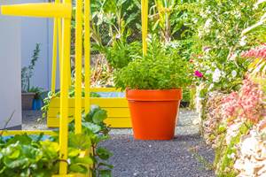 Villa Lagon jardin Nord