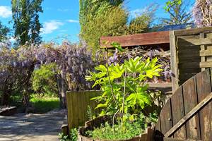 terrasse-bois-jardin-hebergement-nature-Masserac.jpg