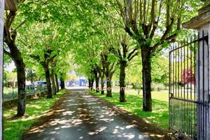 DBC7C0D2-AE02-4368-A292-050EC32CC45F_1_105_c