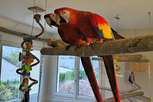 sejour-famille-nature-ouest-france.jpg