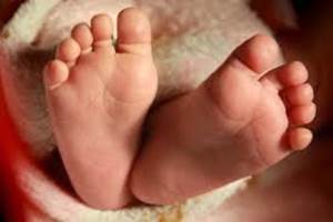 images (1)