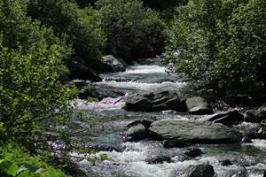 Le long de la Névache