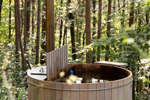 Bain nordique dans la forêt