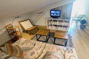 salon TV NETFLIX 16 Bis gite hotel-marssac-albi-gaillac