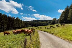 Cornimont