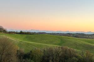 IMG_1459
