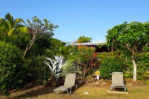 Jardin avec espace détente