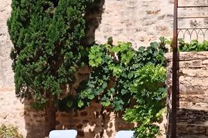 Les Granges de l'Abbaye. Solarium