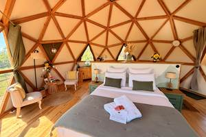 Structure en bois chaleureuse et atypique