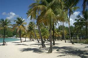 Les jardins des Balisiers Plage de la Caravelle sainte anne