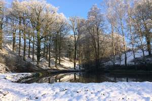Paysage hivernal magnifique