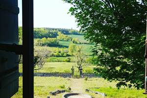 Jardin du bassin