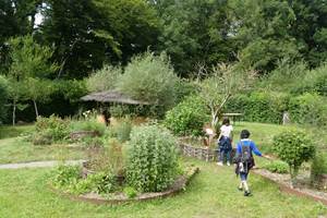 Jardin de millepertuis