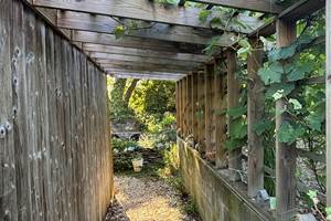 Les vignes et l'accès à la terrasse