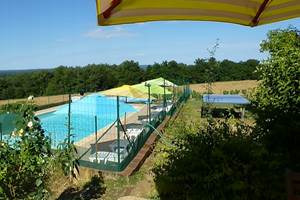 La piscine et son écrin de nature vus de la terrasse ombragée.
