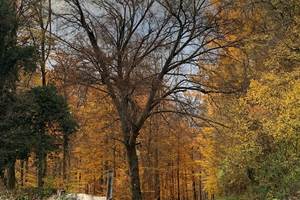 IMG_3593