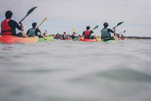 Balade guidée en canoë - Ile de Ré