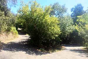 Depuis St Jean à Droite, Les Jardins D'Arbousse à Gauche