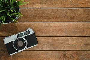 pexels-tirachard-kumtanom-112571-733853
