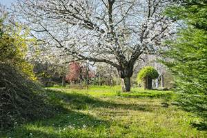 Jardin fleuri et arboré d’un gîte en Touraine, cadre paisible pour un séjour au vert