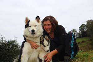 Chiens de traineau Béarn Pyrénées