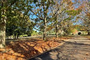 gite_bretagnesud_golfedumorbihan_grand-parc_couleurs-automne